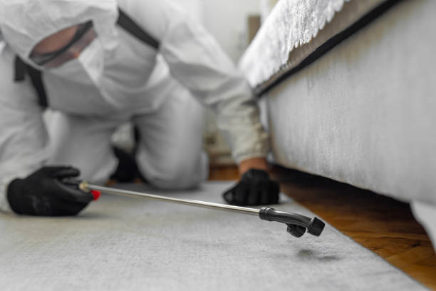 Professional Termite Control technician working in Barview, OR