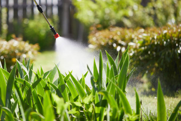 24/7 Emergency Termite Control experts in Barview, OR